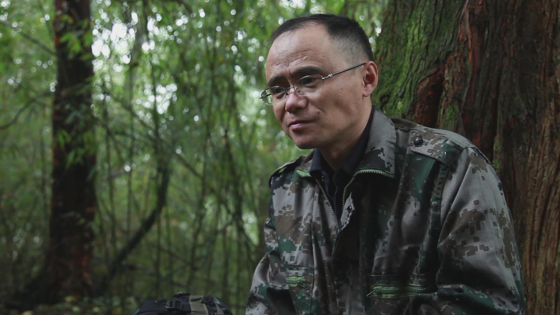 ���ڣ�Ѳɽ20�� ����è�ġ��ػ��񡱡�2��