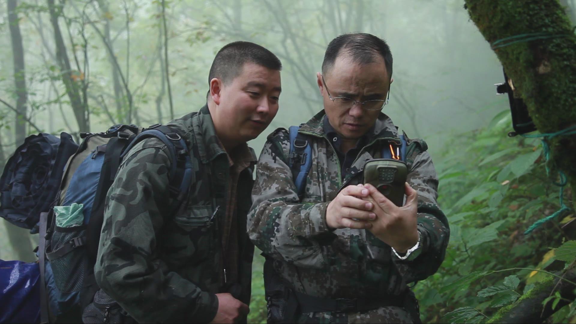 ���ڣ�Ѳɽ20�� ����è�ġ��ػ��񡱡�4��