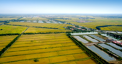 Ԭ�ơ�������ϵ����ֵ�һ�ˡ�2��